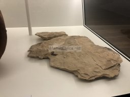 Tumba de la Almoloya 2022